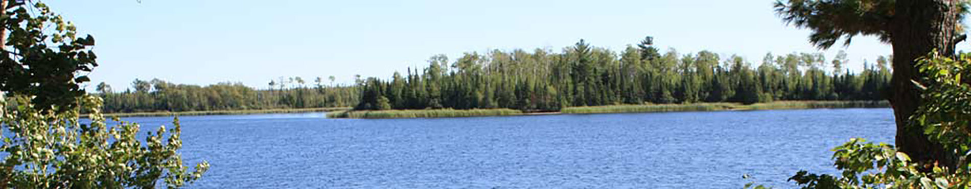 1st Image